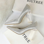 Clear Pointed Toe Heels Silver